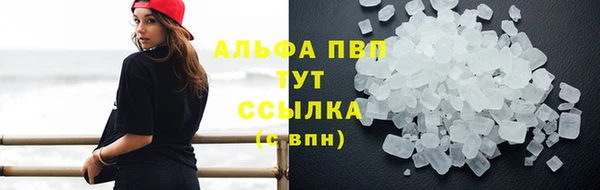 скорость Алзамай
